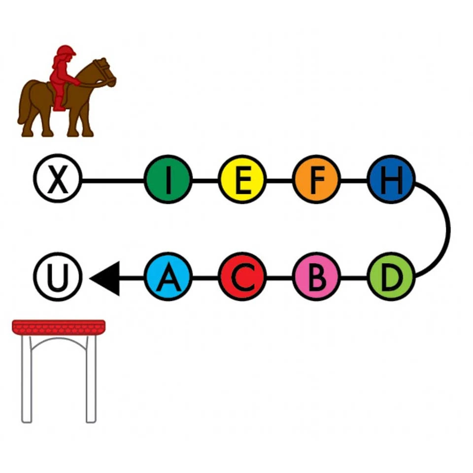 Horse Academy 8 Horse Academy - Afbeelding 6
